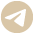 Telegram Icon